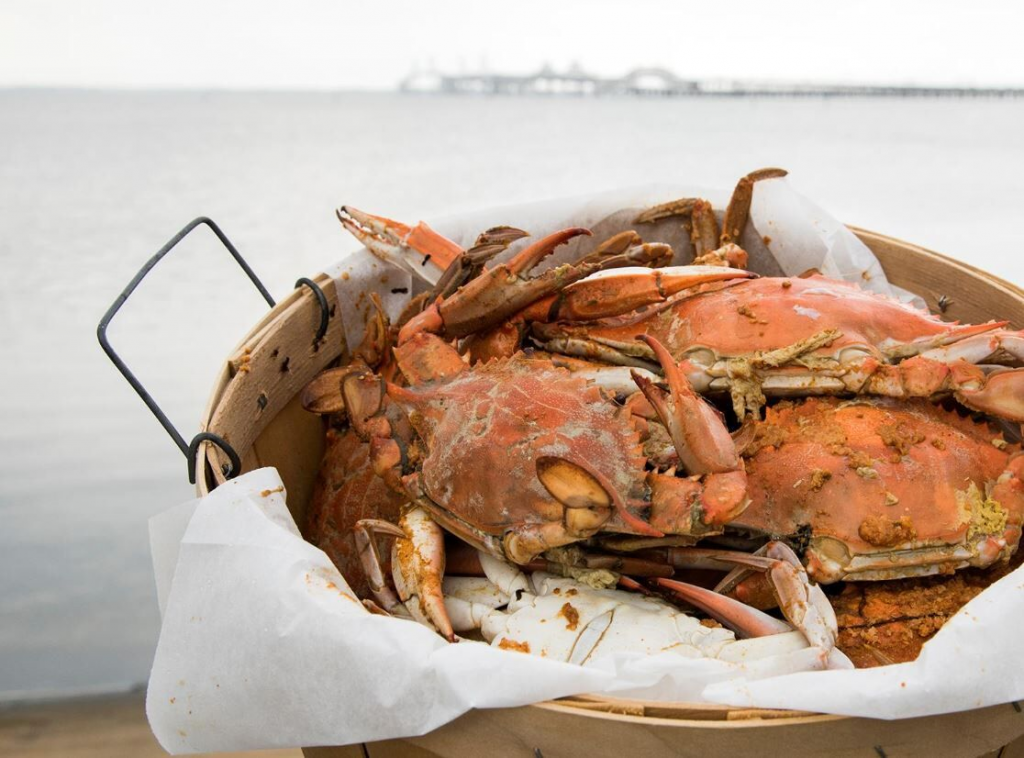bushel of crabs in front of the chesapeake bay with chesapeake bay bridge in the background