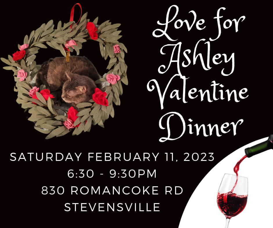 Valentine Dinner 2023 - Love for Ashley - SFFC