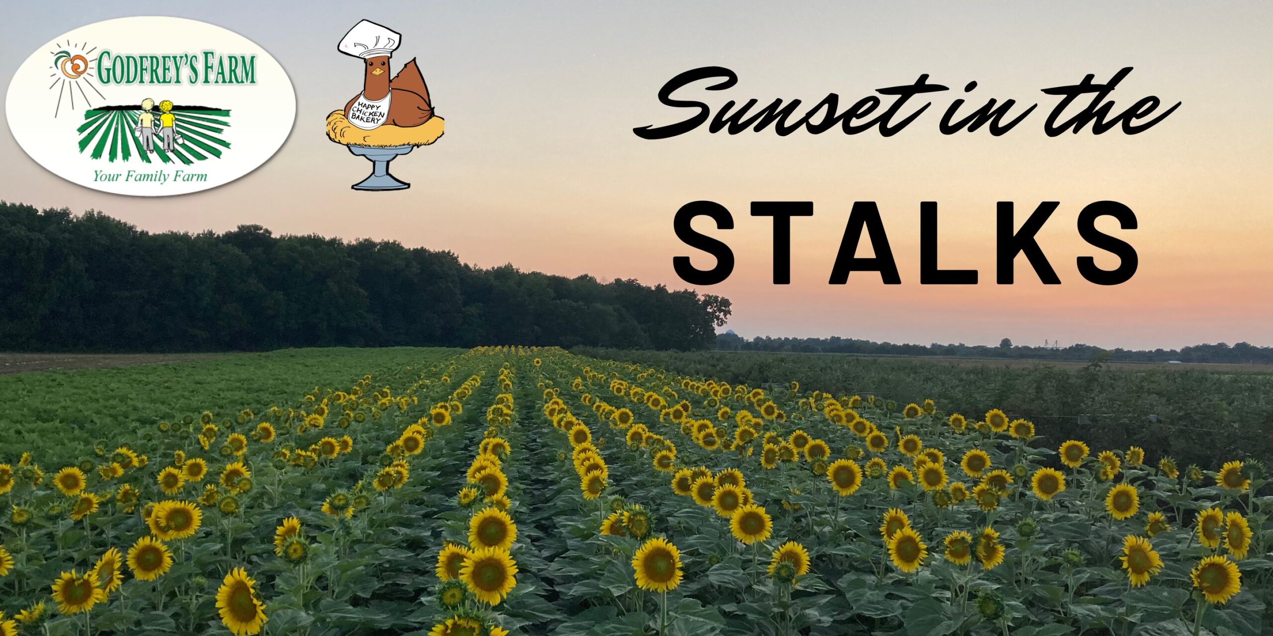 Sunset in the Stalks