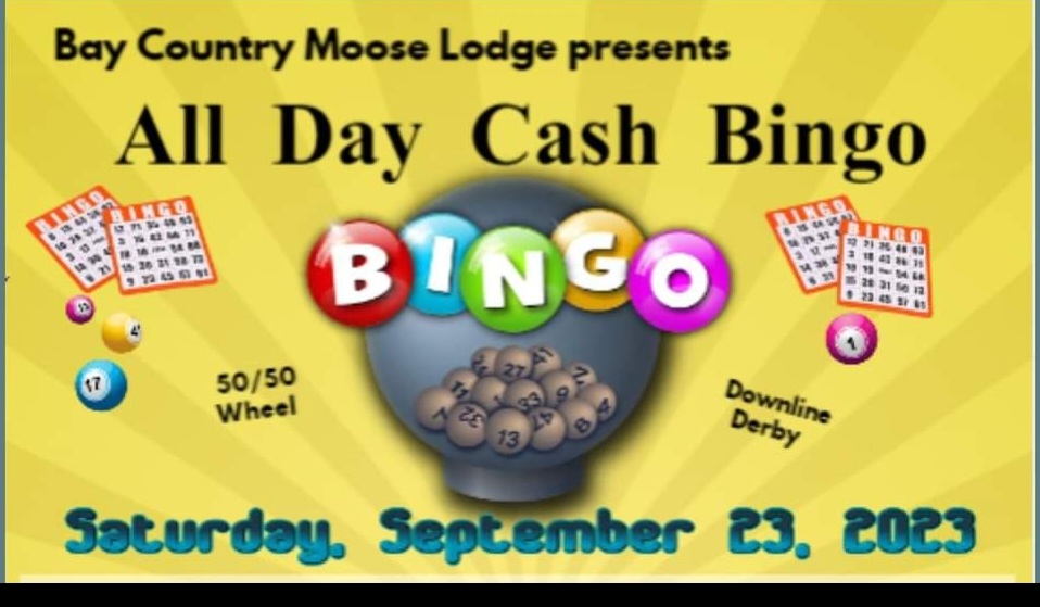 All Day Cash Bingo